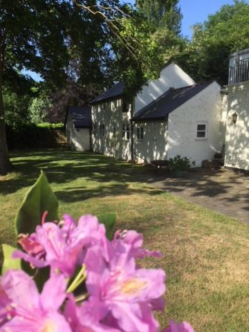 Claremont Coach House Villa Frensham Exterior photo